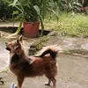 buhay_driver17