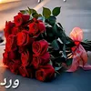 roro.4328