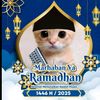 bima_saxty.22