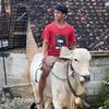 vinoap27