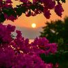haticekubra.unal_05