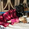 cocoa_bear_frenchie_farm