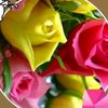 user3609498461436