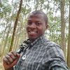 usertujunealbert