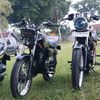 ali.yazid1