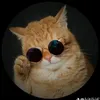 andreke756