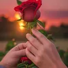 joliefleur27