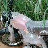 husseink0002