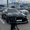 denis_bse42