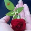 user5901611382586