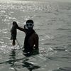 8almheiri8