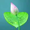 nhan_sinh_88