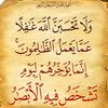 ibrahim.khamis5