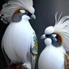 user5718820800131