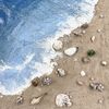 _theoceann