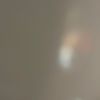 angelina_1234839