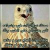 user61226728775736