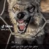 aa_515_ssaa