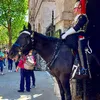 King's Guard's England