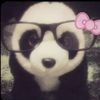 crazypanda_11