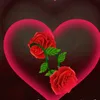 _.beautifull_1