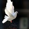 karim_55770