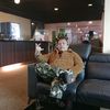 algshah_54