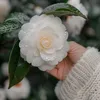 sandy_bell888