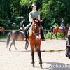 zofia.lanas..version
