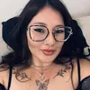 larissa.matsumiya