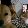 diego.gonzalez8939