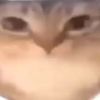 farboi748