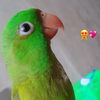 paola.2127