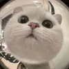 meomeunbox