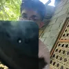xzkel36