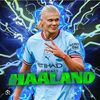 haaland.the.goat7