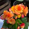 thanh.trong.l2