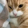 kbplsn
