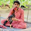 chaudhary54692