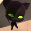 plagg_211gang456