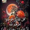 user42507853600197
