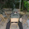 kimhanz_sgp_bac