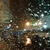 _pluviophile_71