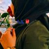 zainab79555