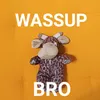 thebro2811