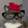 sharikami_kot