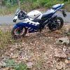 mamas_jawa059