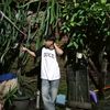 wahyanarieffff