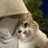 meowme07