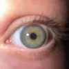 lara.dvdt14